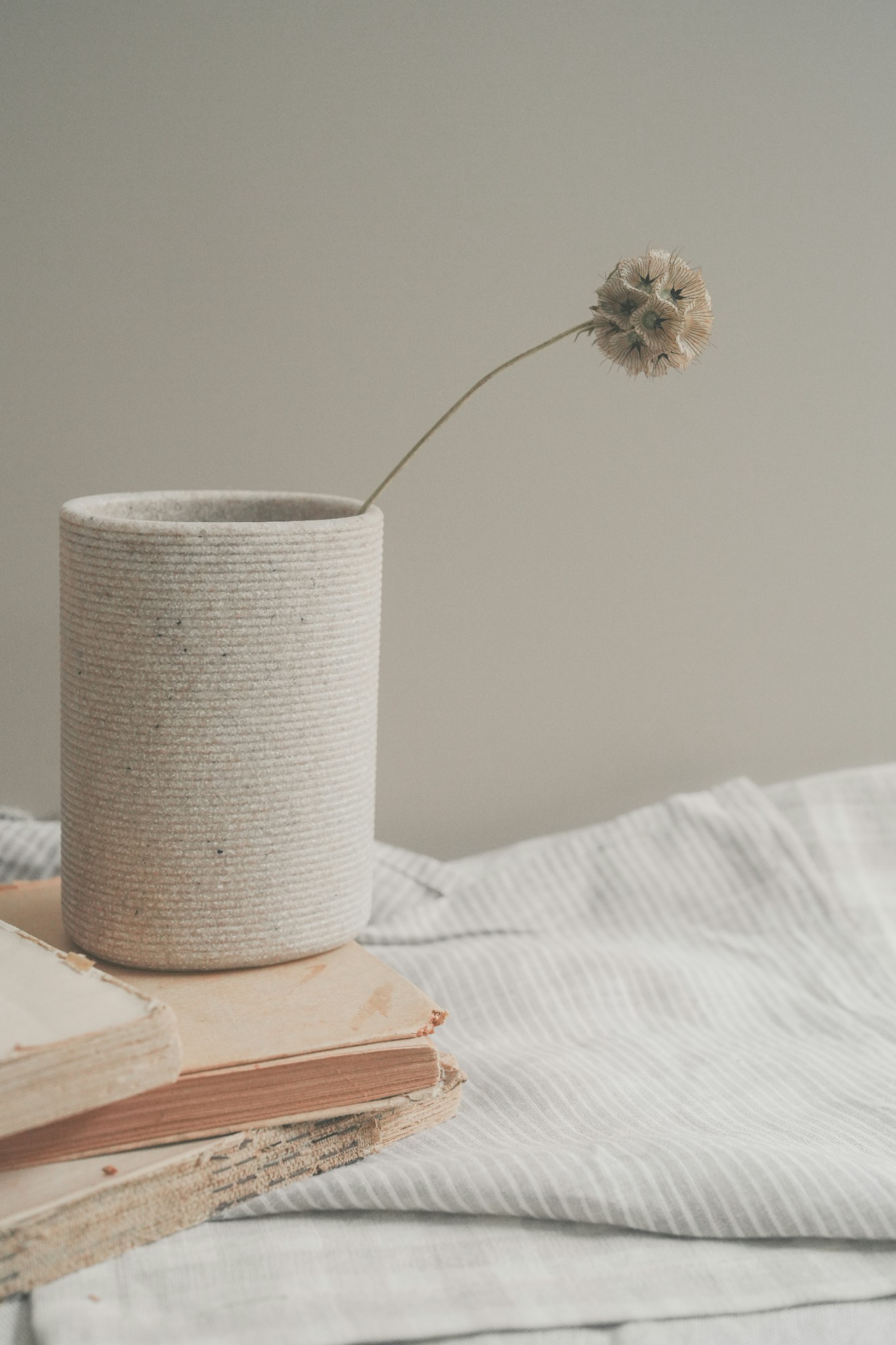 Minimal still life